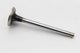 Manley Ford 5.0L 37.5mm Race Master Exhaust Valve - My Store