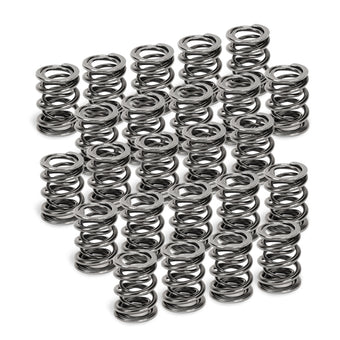 compare product Supertech BMW M50/M52/S50/S52 Dual Valve Spring - Set of 24