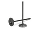 Supertech BMW M20 Black Nitrided Exhaust Valve - Set of 6 - My Store