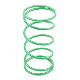 compare product Athena BSV DIO GP 50 25Kg Green Contrast Spring (Bore 50mm)