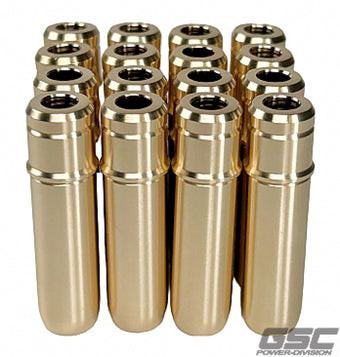 compare product GSC P-D Ford Coyote Gen 3 Intake/Exhaust Valve Guide Set - Set of 16 (Use OEM or GSC 1102)