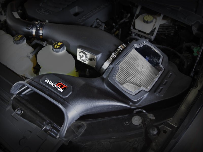 aFe POWER Momentum GT Pro Dry S Intake System 21 - 22 Ford F - 150 V6 - 3.5L (tt) PowerBoost - My Store