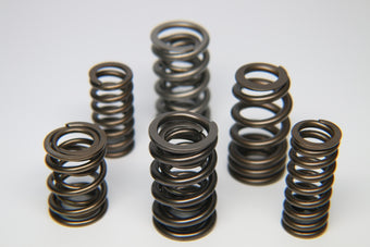compare product Ferrea BMW S54 Dual Valve Spring - Set of 24