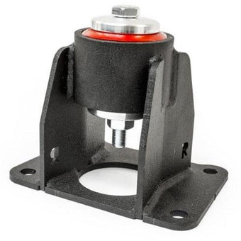 compare product Innovative 98-02 Honda Accord V6/ 99-03 Acura TL/ 01-03 Acura CL Replacement Rear Single Mount (A/T)