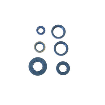 compare product Athena 87-90 Cagiva Bifaro 750 Engine Oil Seal Kit