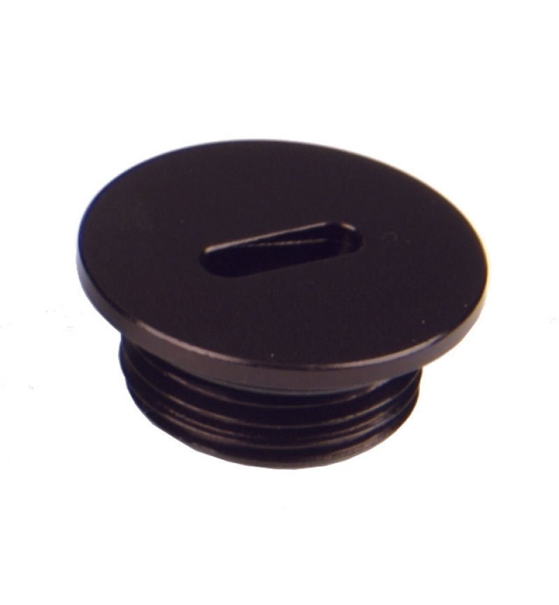 Aeromotive AN - 08 O - Ring Boss - Slim Line - Port Plug - My Store