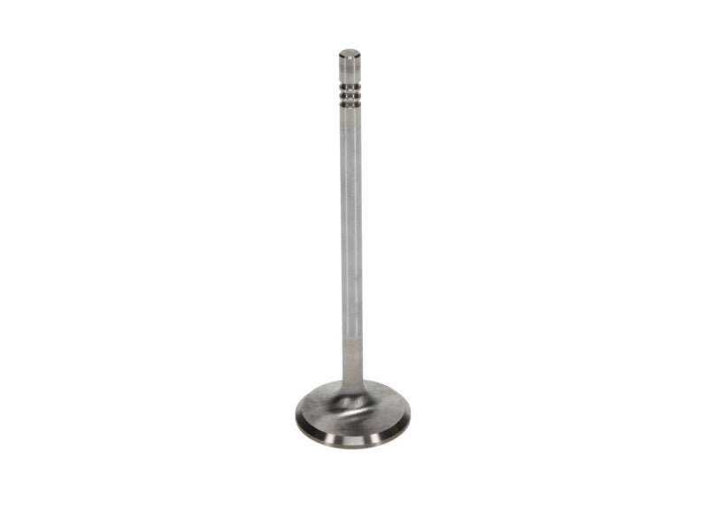 Manley Ford 4.6L 34mm Diameter 117.35mm Length Race Master Exhaust Valves (Set of 8) - My Store