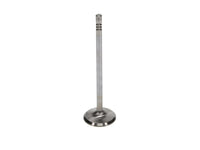 Manley Ford 4.6L 34mm Diameter 117.35mm Length Race Master Exhaust Valves (Set of 8) - My Store
