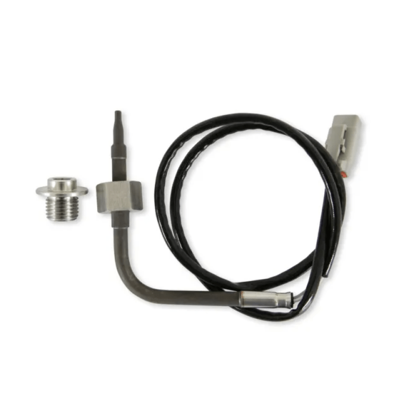 AEM RTD Exhaust Gas Temperature Sensor Kit - My Store