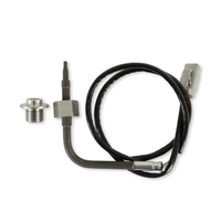 AEM RTD Exhaust Gas Temperature Sensor Kit - My Store