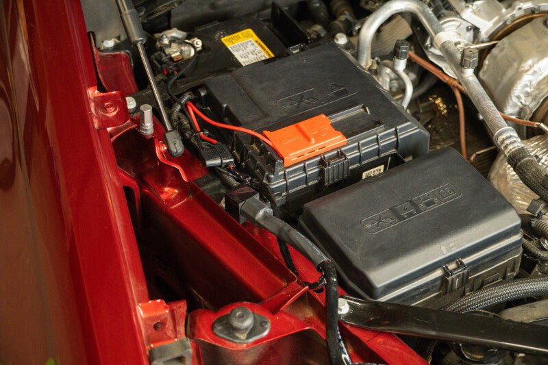 DV8 Offroad 40 Amp Wire Harness with DT Connector & Switch - My Store