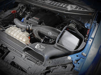 aFe 17 - 20 Ford F - 150/Raptor Track Series Carbon Fiber Cold Air Intake System With Pro DRY S Filters - My Store