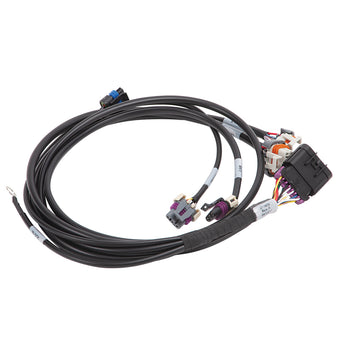 compare product Edelbrock Pro Flo 4 IAC Ignition Harness 58X Gen IV LS