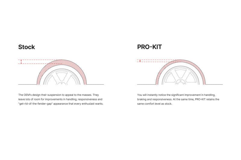 Eibach 2026 Tesla Model Y RWD Juniper Pro - Kit - My Store