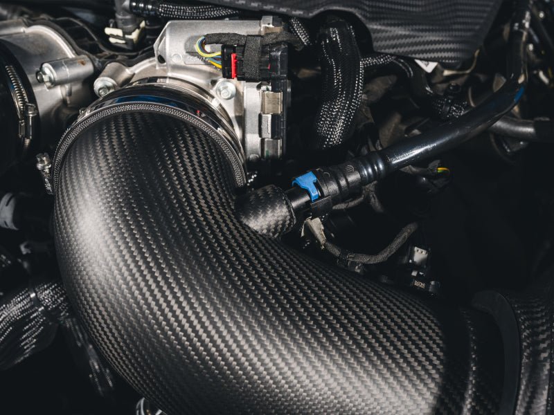 AWE Tuning 24 - 26 Ford S650 Mustang GT/Dark Horse S - FLO Carbon Intake - My Store