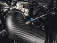 AWE Tuning 24 - 26 Ford S650 Mustang GT/Dark Horse S - FLO Carbon Intake - My Store
