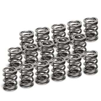 compare product Supertech Honda H22A1/H22A4 Dual Valve Spring - Set of 16
