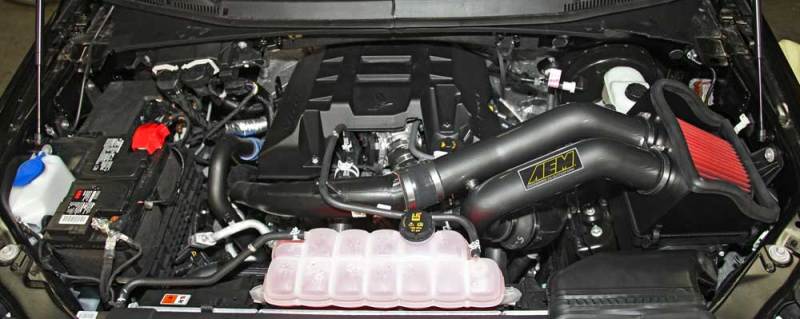AEM 2015 Ford F - 150 3.5L V8 Cold Air Intake System - My Store