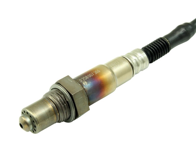 AEM Bosch UEGO Replacement Sensor - My Store