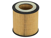 aFe Pro GUARD D2 Oil Filter 06 - 19 BMW Gas Cars L6 - 3.0T N54/55 - 4 Pack - My Store