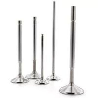 compare product Ferrea 84-04 Harley-Davidson Evolution 1.625in Head 0.31in Stem Dia Comp Exhaust Valve - Set of 2