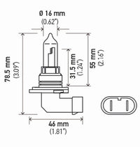 Hella Bulb 9005 12V 65W P20D T4 +50 (2) - My Store