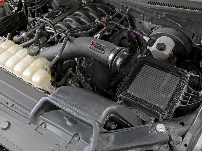 aFe Super Stock Induction System Pro Dry S Media 15 - 20 Ford F - 150 V8 - 5.0L - My Store
