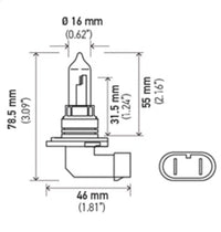 Hella Bulb 9005 12V 65W P20D T4 +50 (2) - My Store