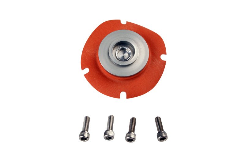 Aeromotive Regulator Repair Kit (for 13202/13113/13209/13214/13212) - My Store