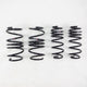 RS - R 2016 - 2021 Honda Civic (FK7) Down Sus Springs - My Store