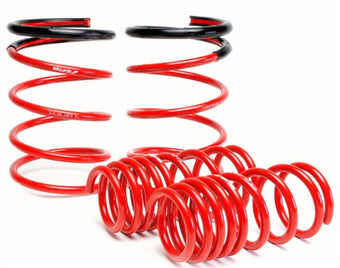 compare product Skunk2 05-06 Acura RSX Lowering Springs (2.25in - 2.00in.) (Set of 4)