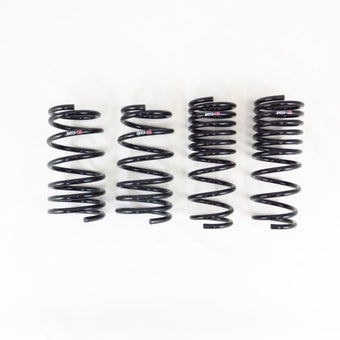 compare product RS-R 2022 Toyota GR86 Super Down Sus Springs