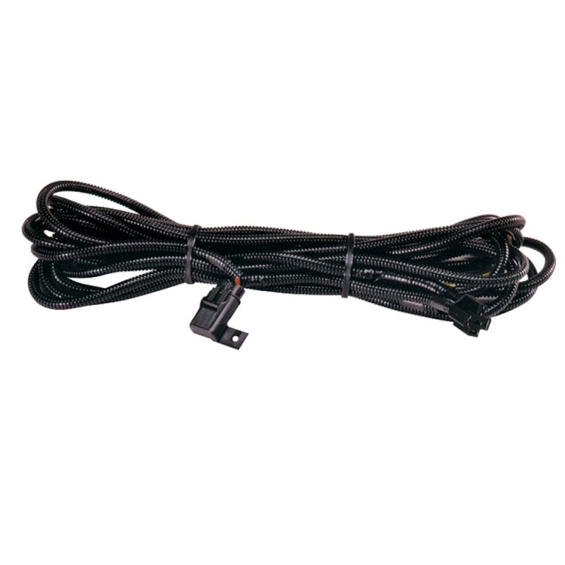Hella High Performance Halogen Wiring Harness - My Store