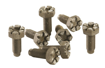 compare product Ford Racing 4.6L Manual Flywheel Bolts
