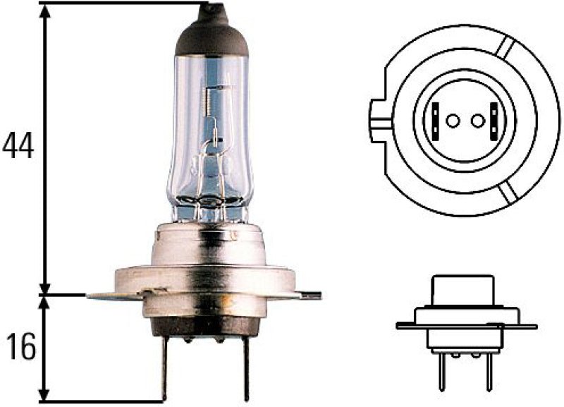 Hella Optilux H7 100W XB Extreme Blue Bulbs (Pair) - My Store