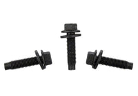 Ford Racing FPP Bead Lock Ring Bolt Kit - My Store