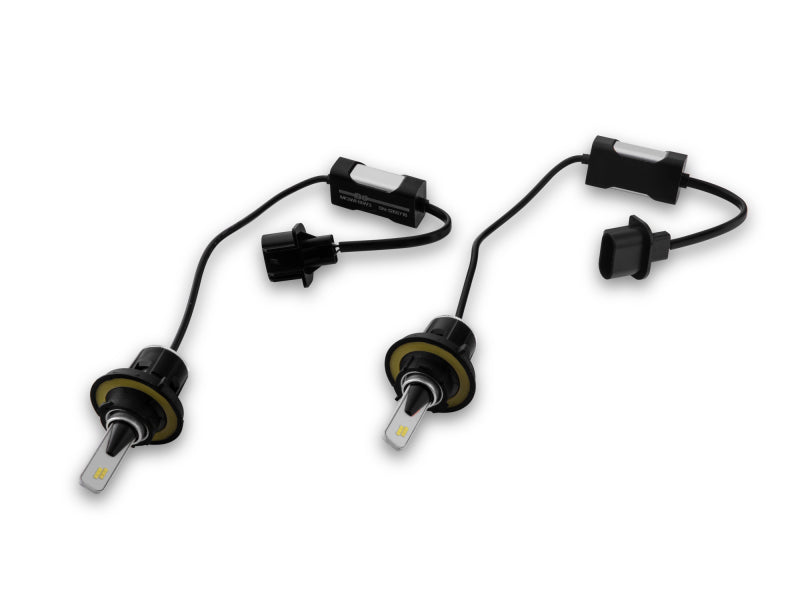 Bulbs