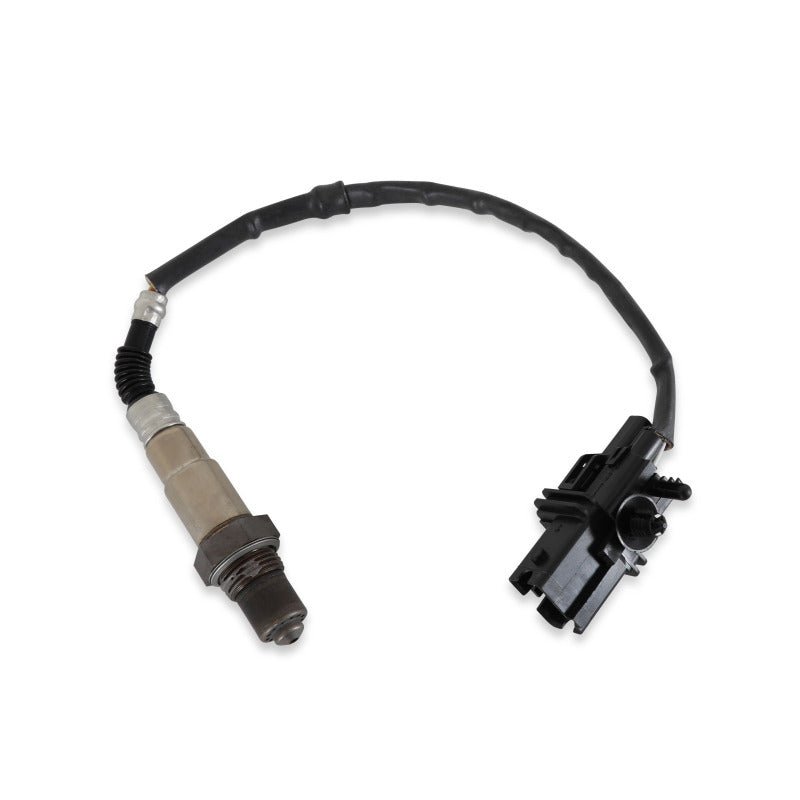 AEM Universal EMS Wideband 02 Kit Sensor/ Bung/ Connector/ Wire - Seals/ Pins - My Store