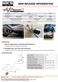 HKS Hi - Power Muffler 2014+ Honda Fit Sport GK5 w/ Carbon Tips - My Store