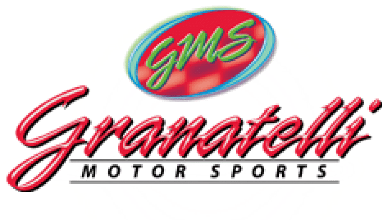 Granatelli 95 - 00 Dodge Neon 4Cyl 2.0L Performance Ignition Wires - My Store