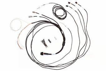 compare product Haltech Semi Terminated Harness for IC-7 Display Dash