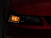 Photo - Close Up
