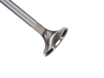 compare product Manley Ford Coyote 5.0L 31mm Extreme Duty Exhaust Valves (Set of 8)