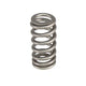 Comp Cams Valve Spring, .600 Lift - My Store