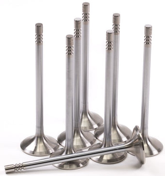 compare product GSC P-D Ford Mustang 5.0L Coyote Gen 3 33mm Head (+1mm) Chrome Polished Exhaust Valve - Set of 8