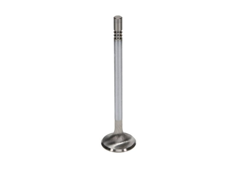 Manley Ford Modular Coyote 5.0L Gen III Race Master Series Exhaust Valve - 1.260in Dia - My Store