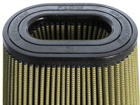 aFe Magnum FORCE Intake Filter w/Pro GUARD 7 (5 - 1/4x7)IN F x (6 - 3/8x10)IN B x (4 - 1/2x6 - 3/4)IN Tx8IN - My Store