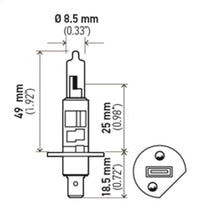 Hella Optilux H1 100W XB Extreme White Bulbs (Pair) - My Store