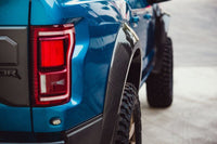 Anderson Composites 17 - 18 Ford Raptor Type - Wide Fender Flares (Rear) - My Store