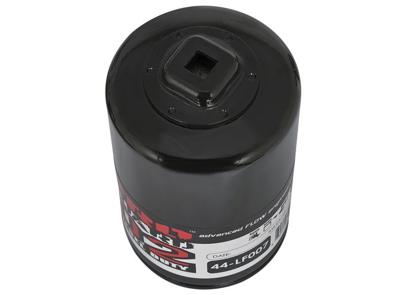 aFe Pro GUARD D2 Oil Filter 97 - 08 Ford Trucks V6 4.2L / V8 4.6L (4 Pack) - My Store